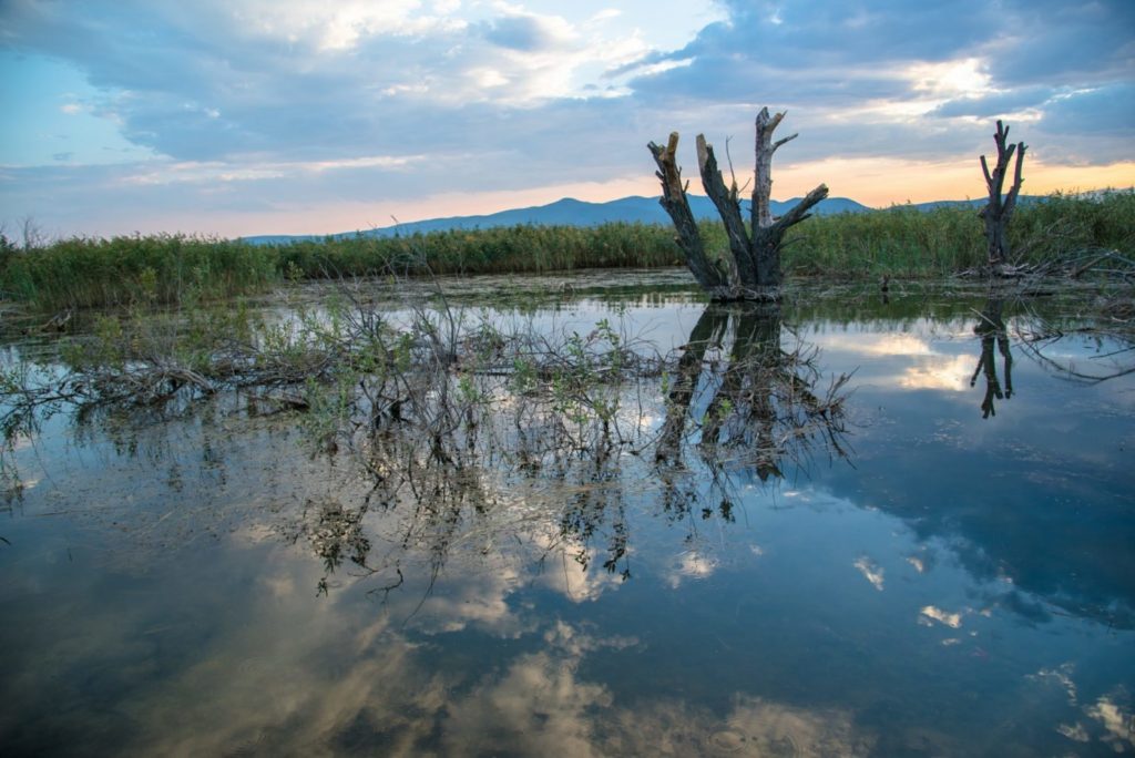 First meeting within the project “Improving the biodiversity of Dojran Lake through cooperation with all social actors and implementation of ecosystem practices”