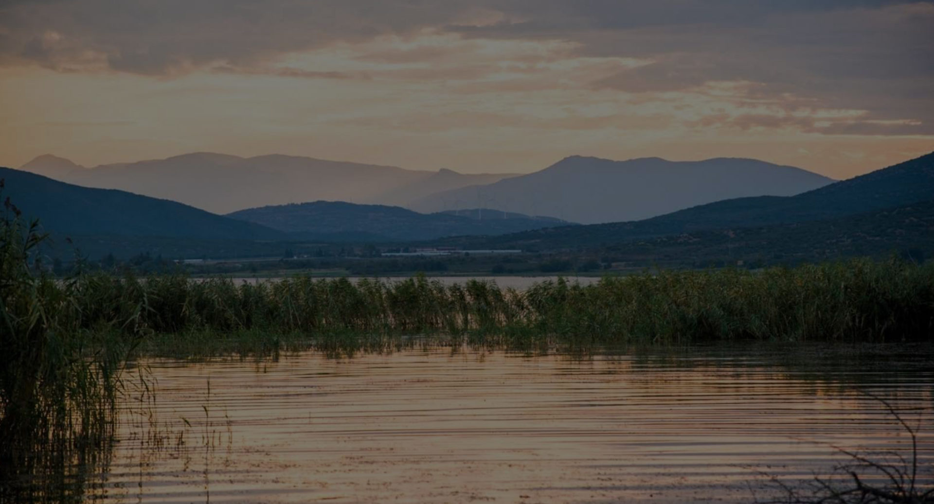 Enhancing Dojran Lake Unique Biodiversity through Engagement of all Stakeholders and Implementation of Ecosystem – Based Approaches